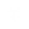 投资回报率高